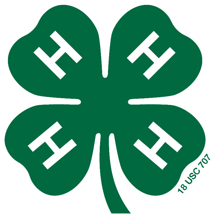 4H