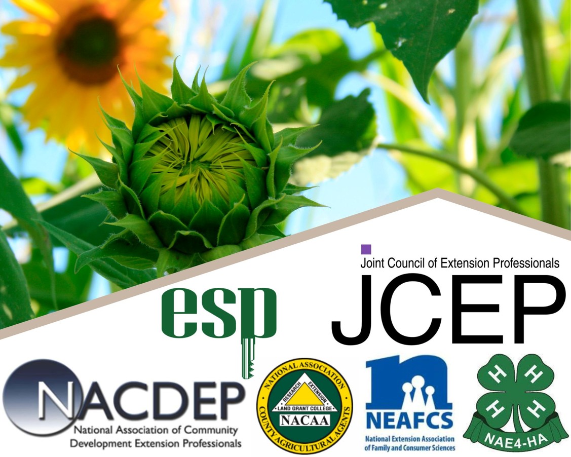 Informational graphic including details of sponsors of the Local Agents' Professional Association Memberships