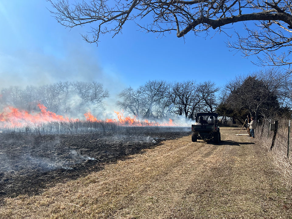 Prescribed Burning Decisions