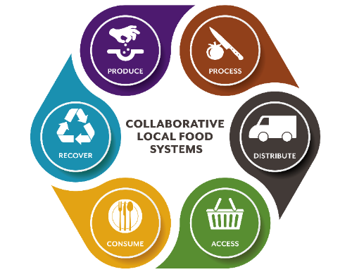 Collaborative Local Food Systems images of local food system sectors