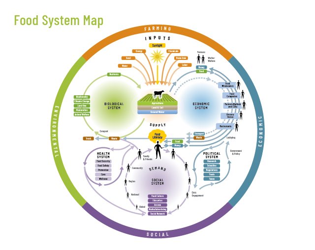 Collaborative Local Food Systems Map of local food system sectors