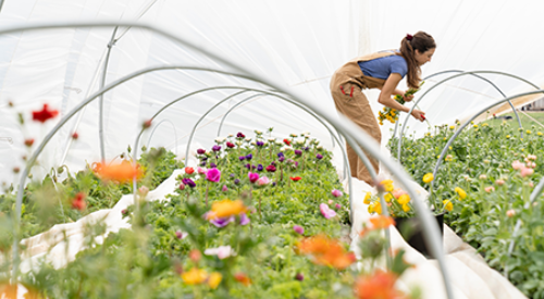 woman standing in hoop house