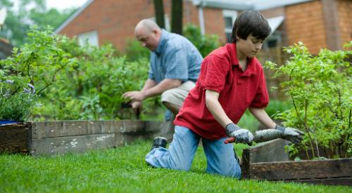man and boy gardening