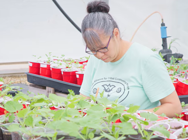 Photo Courtesy of KATCH - Individual working with seedlings