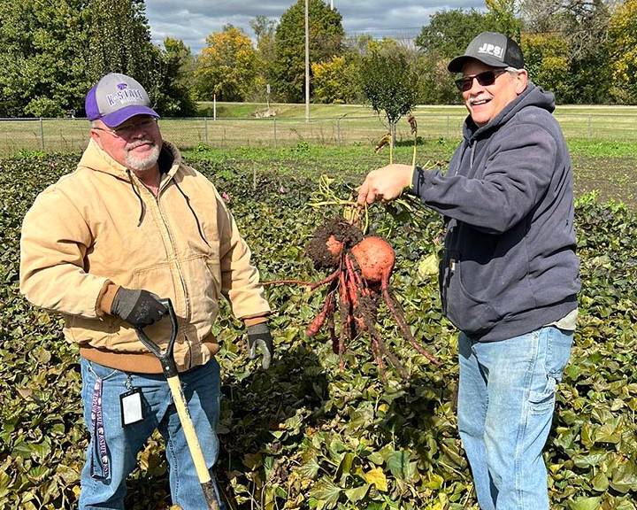 Harvey County Extension Master Gardner and local Agent harvesting produce in community garden