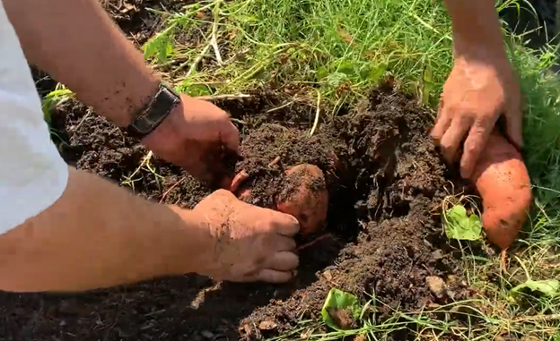 Courtesy Photo Cowley County Correctional Facility Residents working in garden