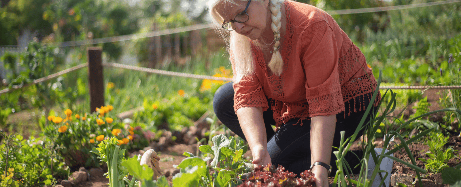woman working in a garden