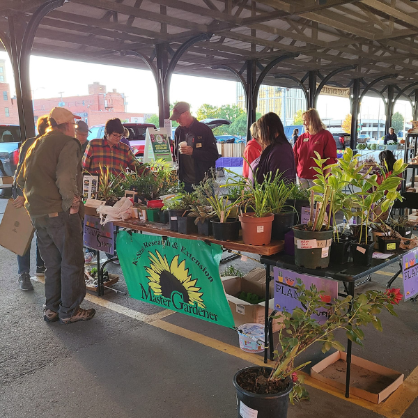 EMG Plant Sale