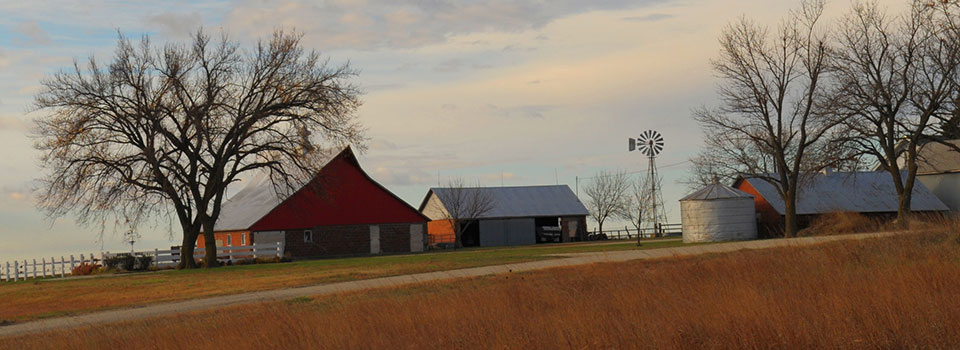 Farm Scene, red barn and outbuildings