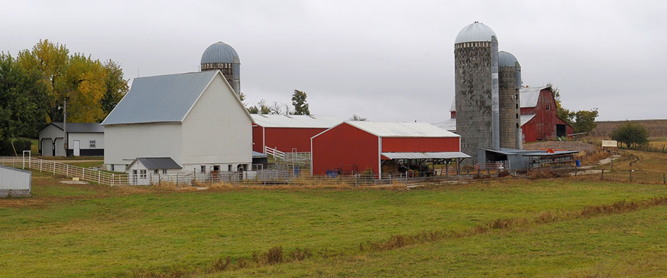 View of Kansas farm with silos, white barn and homestead