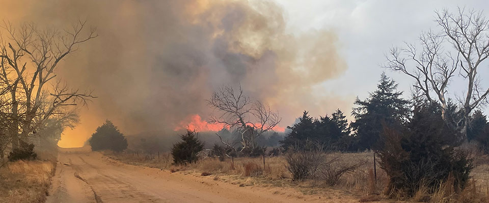 wildfire smoke and flames crossing rural road