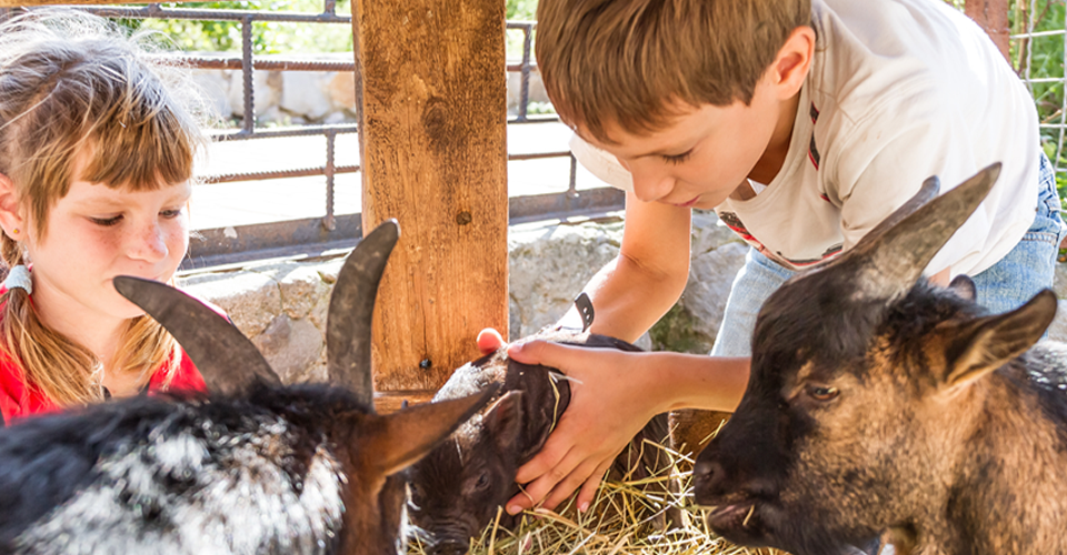 Children with animals. 
