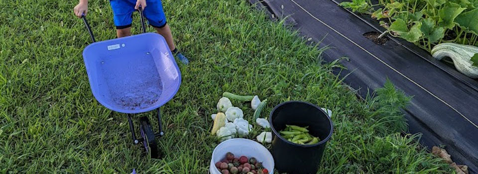 Gardening supplies.