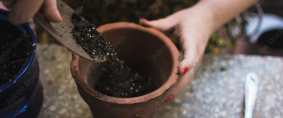 Closeup of woman's hands using small shovel to put potting soil into ceramic pot