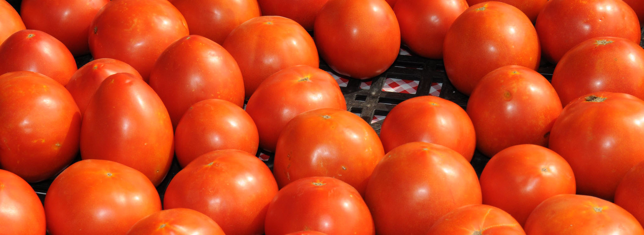 A basket of tomatoes. 