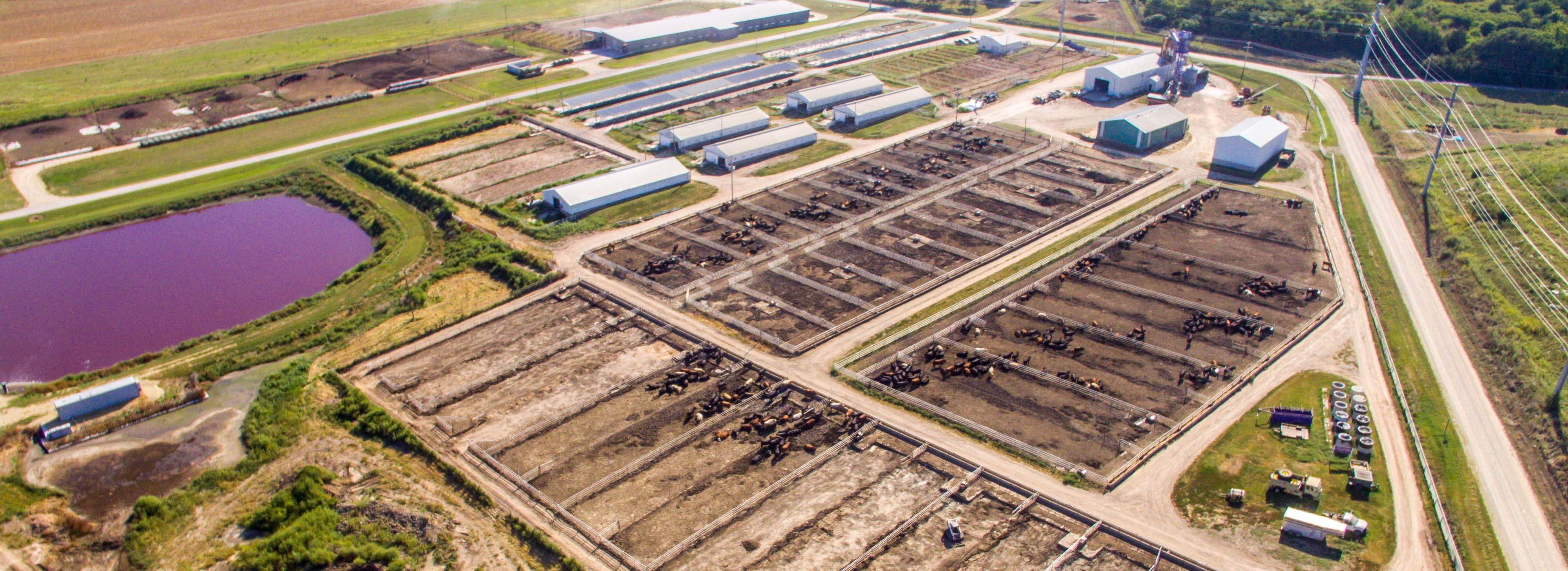 Aerial image of beef research facility