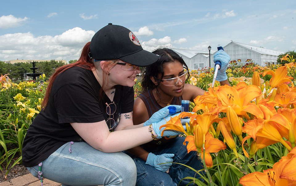Two female college students analyzing colorful flowers near a greenhouse under a clear, blue sky