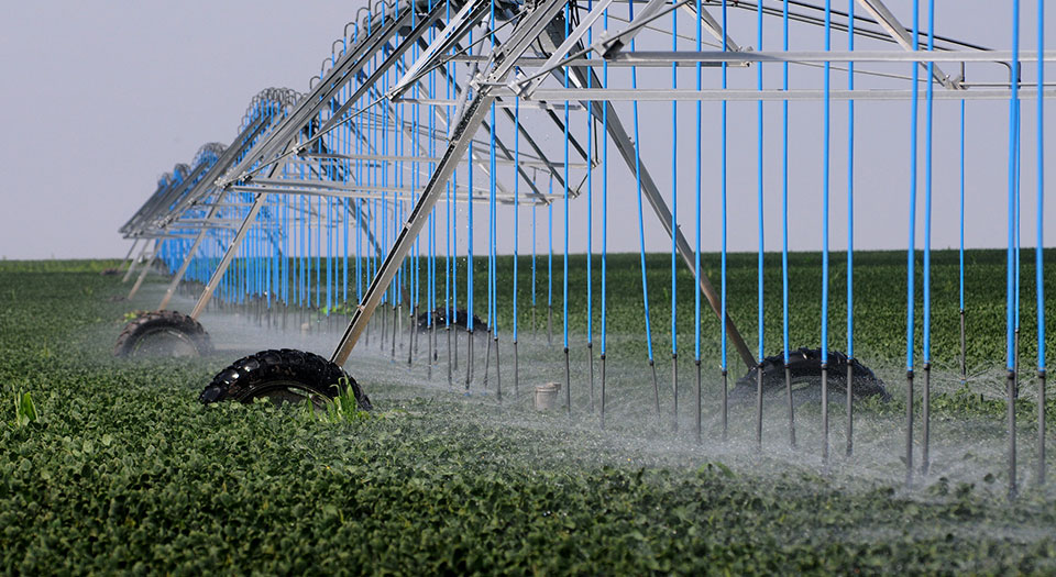Center pivot irrigation sprinkler in a green Kansas farm field