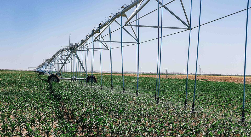long view of a center pivot irrigation sprinkler in a kansas farm field