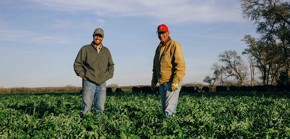 Two men wearing jeans and jacket standing in a green field of cover crops Two men wearing jeans and jacket standing in a green field of cover crops