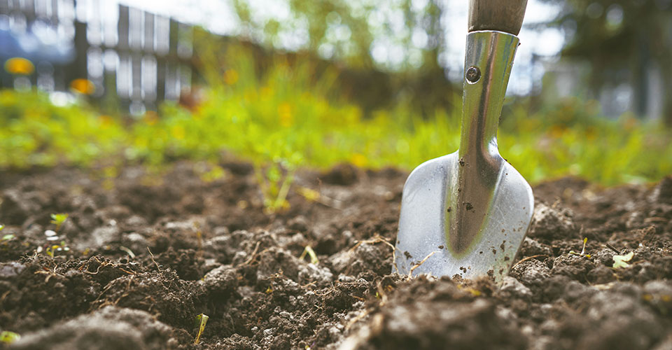 closeup of hand shovel stuck in garden soil