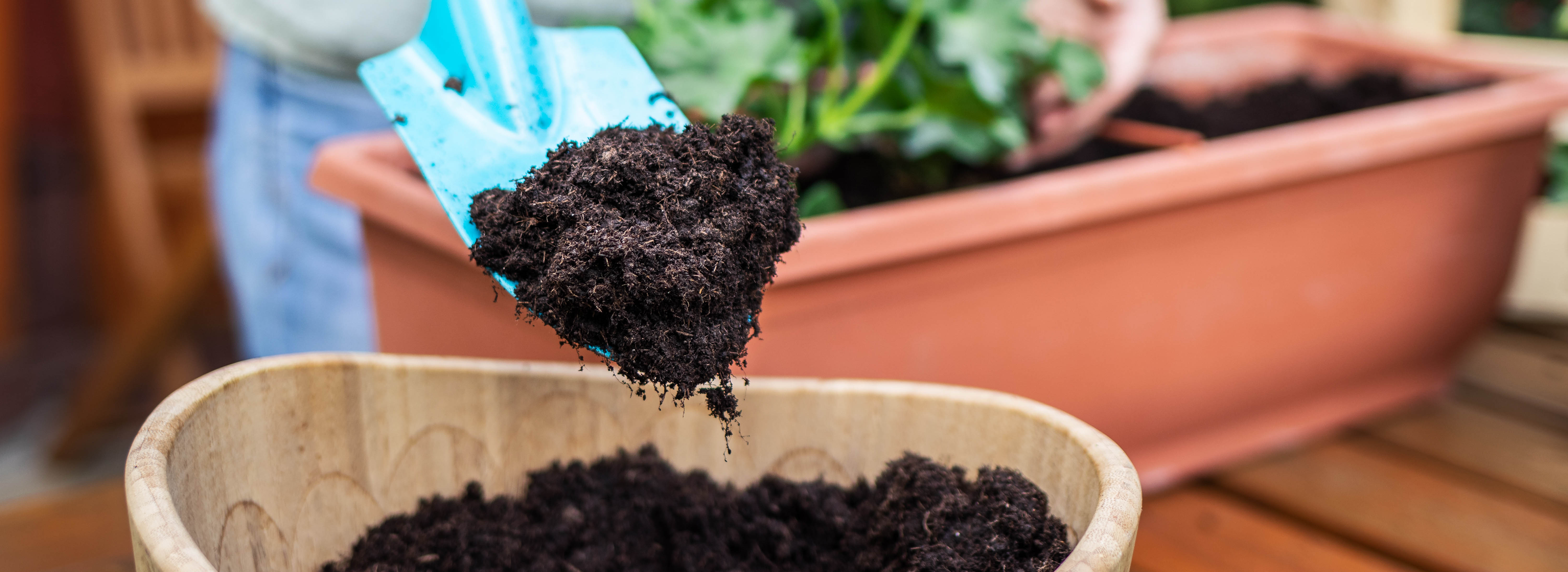 Closeup of man's hands using small shovel to put potting soil into ceramic pot