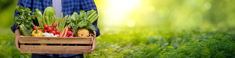 Person holding wooden crate with numerous vegetables, with mature garden blurred in background
