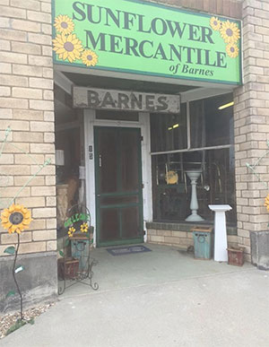 Storefront, Sunflower Mercantile of Barnes, featuring a bright yellow sunflower in the main part of the sign, and a smaller sign that reads Barnes. The building itself is light brick.
