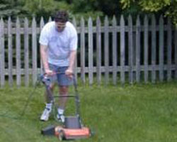 mowing lawn