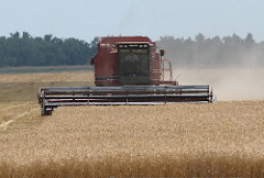Farm Future program Wheat harvest