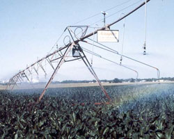 irrigation cpivot