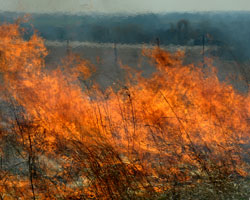 prairie fires prairie fires
