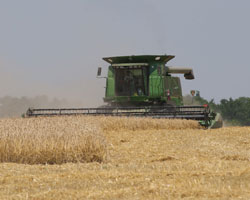 Navigating a struggling farm economy