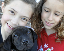 Two Kansas 4-H members volunteer at the Junction City Animal Shelter in Geary County, during the 2016 48 Hours of 4-H service project.