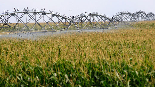 Irrigation, Water Grant Irrigation, Water Grant