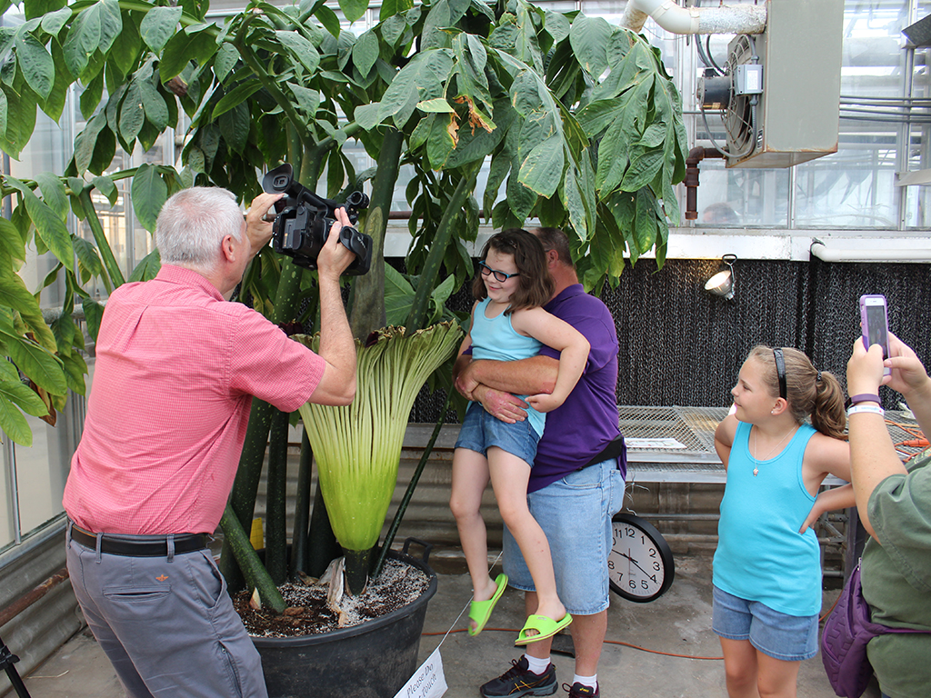 corpse-flower-visitors corpse-flower-visitors