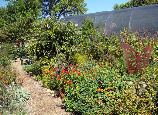 Trees and shrubs bordering walking path
