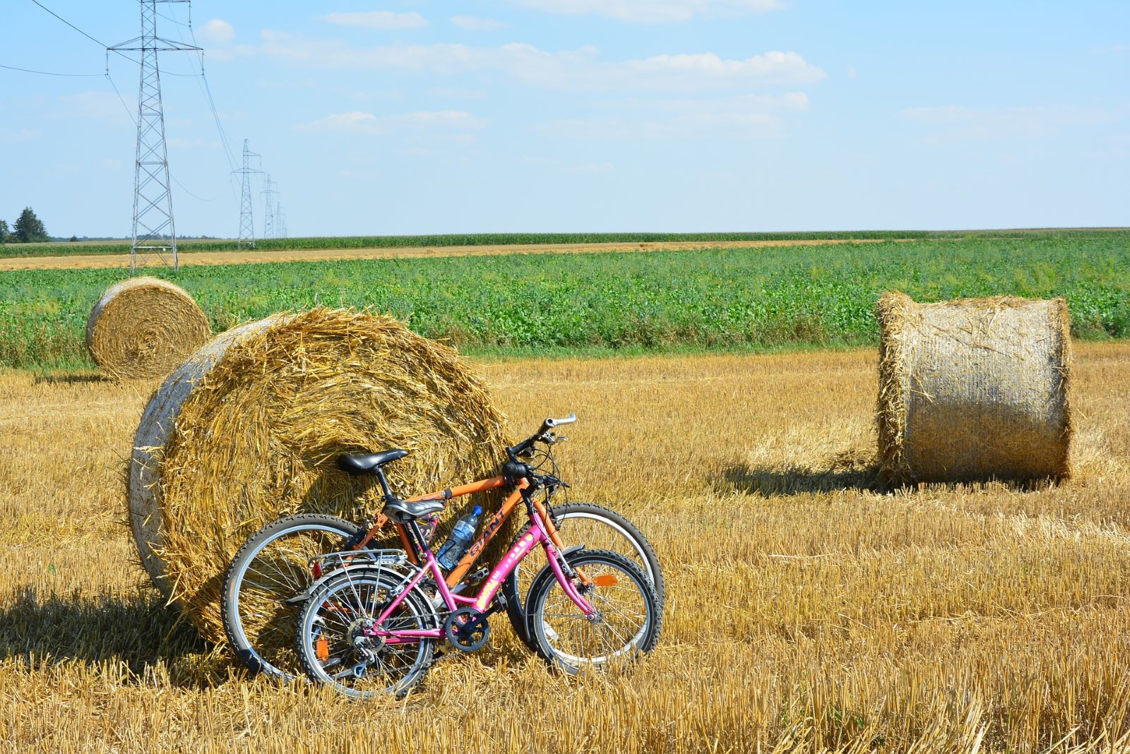 Bicycles with hay bales